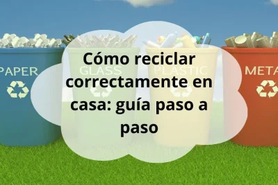 Cómo reciclar correctamente en casa